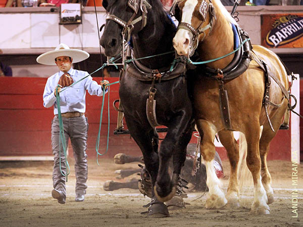 Jorge, hbil manejador del tiro