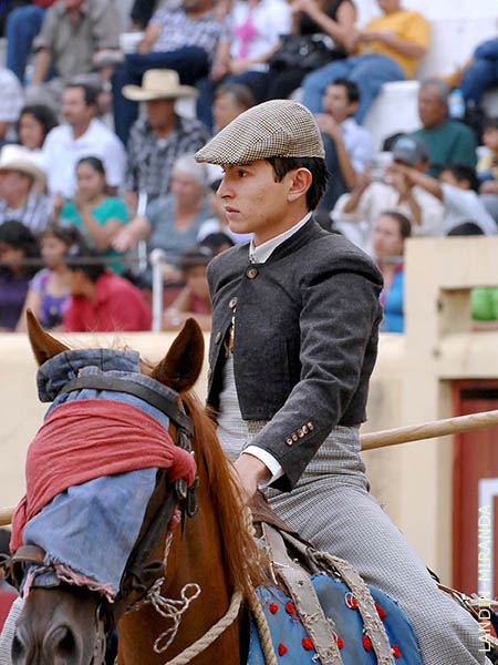 Inicio en festivales