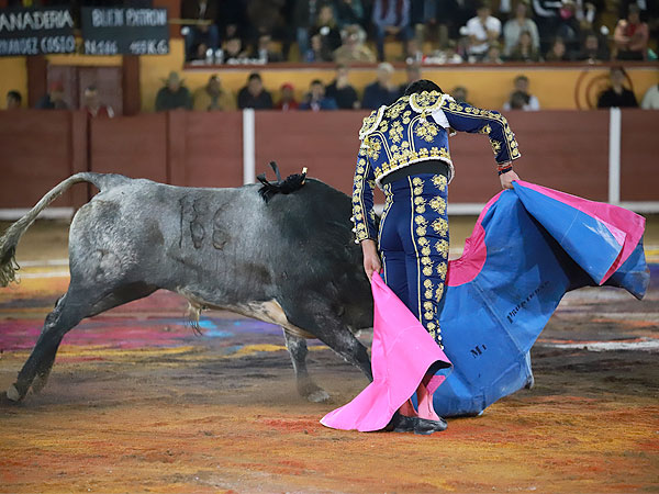 Angelino variado y pinturero
