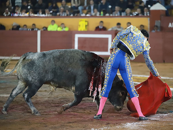 Calidad en la embestida