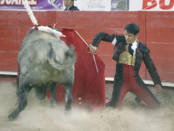 Variedad en la muleta