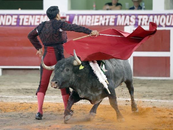 La mirada en el tendido