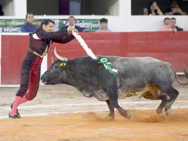 Maestro en banderillas