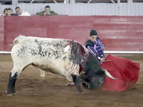 Sometiendo al alunarado