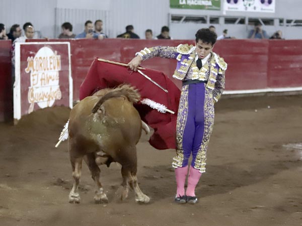 Las bernadinas de Leo