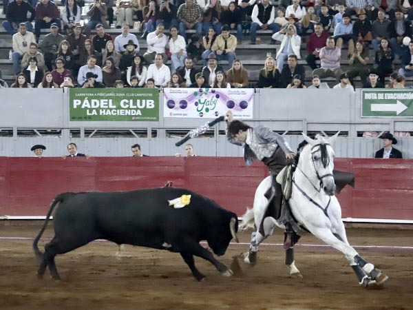 Banderilla al estribo