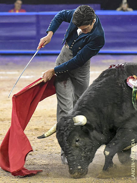 Lo entendi de principio a fin