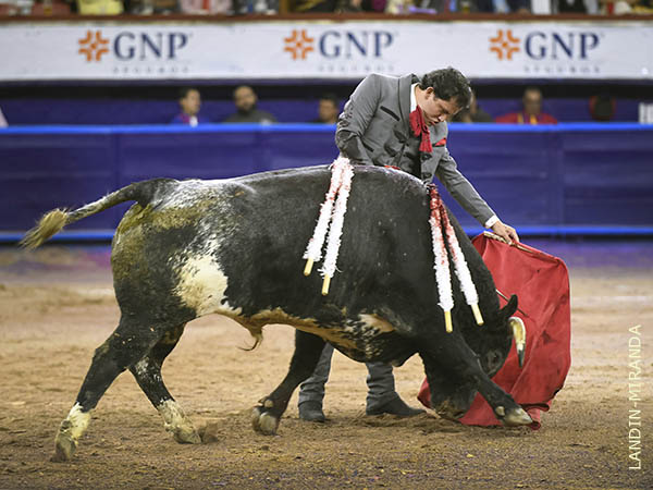 Faena corta, pero con calado