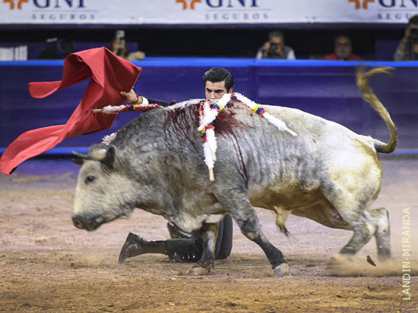 Enormes deseos de agradar