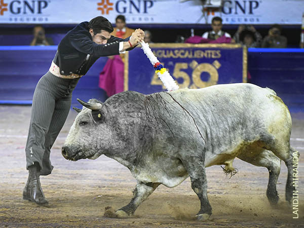 Espectacular en banderillas