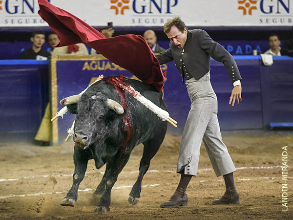 En alto su prestigio