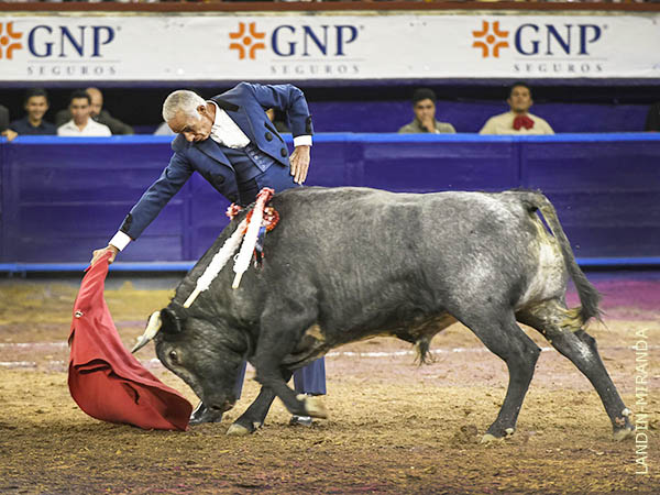El toreo largo y templado del maestro