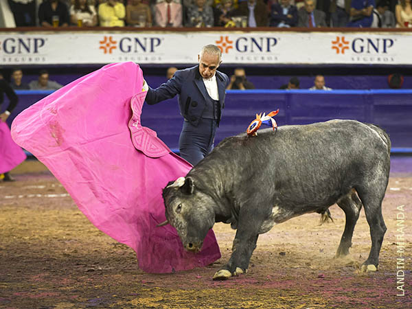 A refrendar triunfos en la Monumental