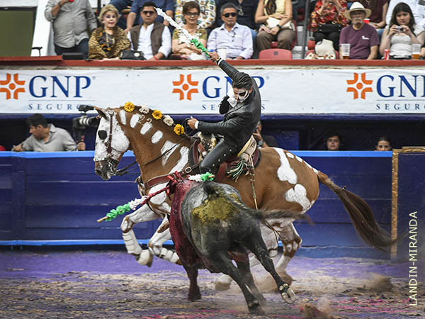 Espectacular monta del caballista