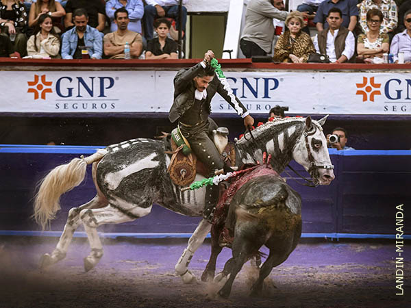 Oficiando en banderillas