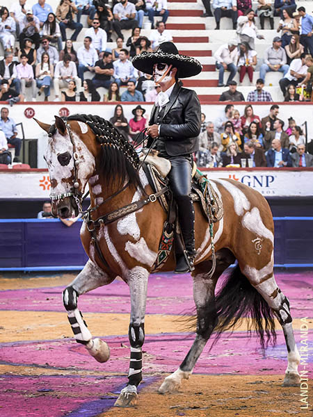 Emiliano Gamero, amor a las tradiciones