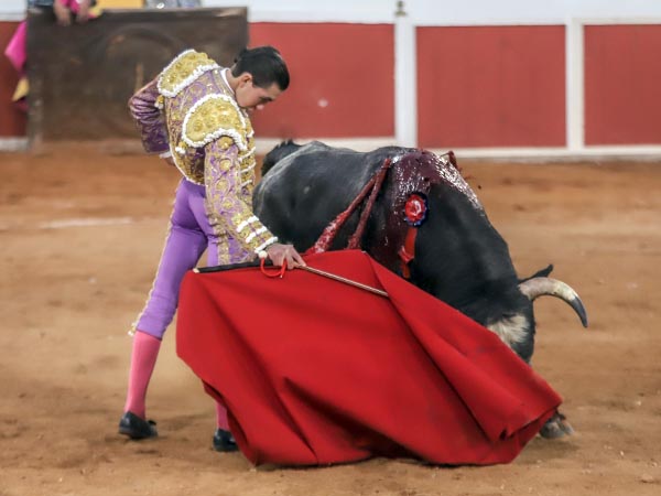 Redondos en los medios