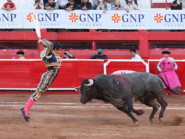 Derroche de facultades