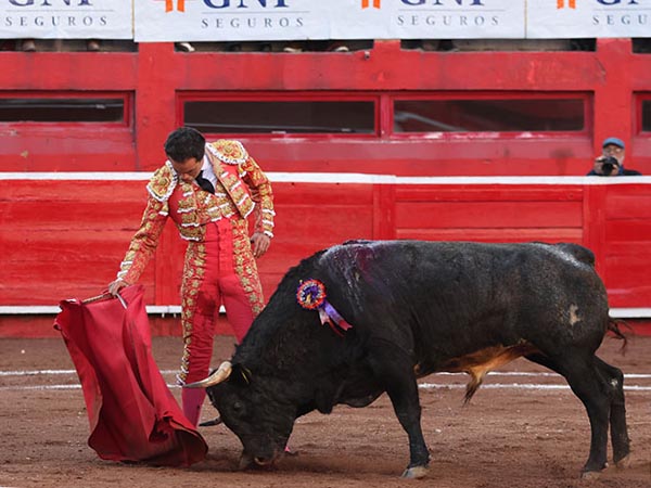 Reposadas series de muleta