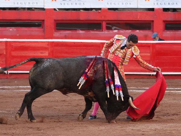 Metiendo la cara abajo