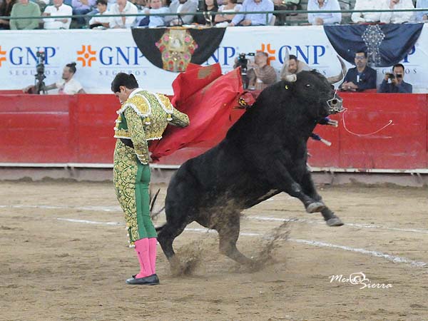 Etapa final de la faena