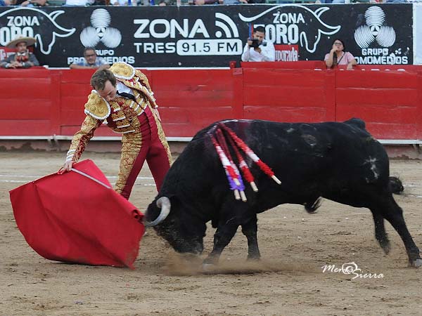 Los belfos en la arena