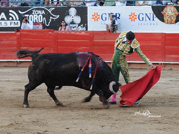 Lucido en los naturales