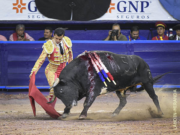 Deseos de redondear la tarde