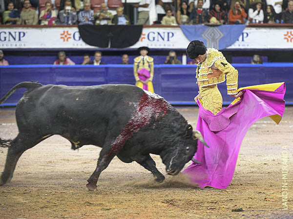 Chicuelinas en los medios