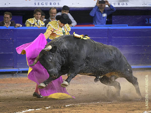 Segundo turno de Emilio