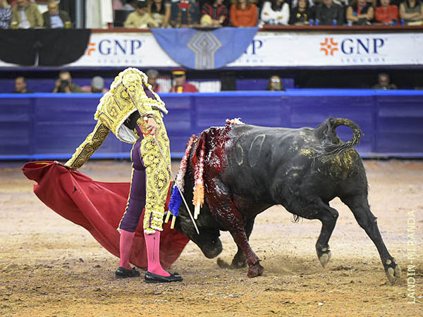 Trat de hacerle fiesta