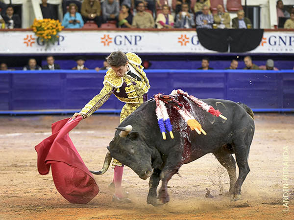 La cara a media altura