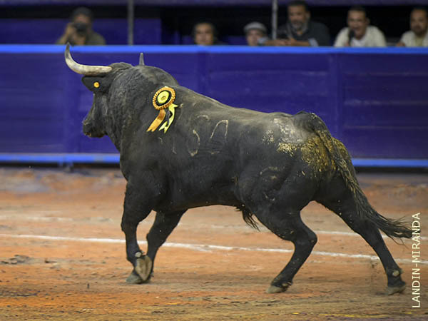 La estampa del tercero