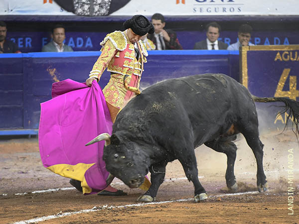Diego, refrendando triunfo en su plaza