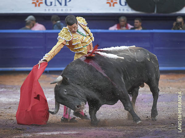 Abriendo camino en Mxico