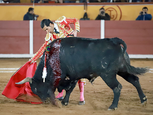 Tauromaquia poderosa
