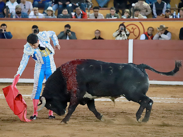 Tauromaquia personal