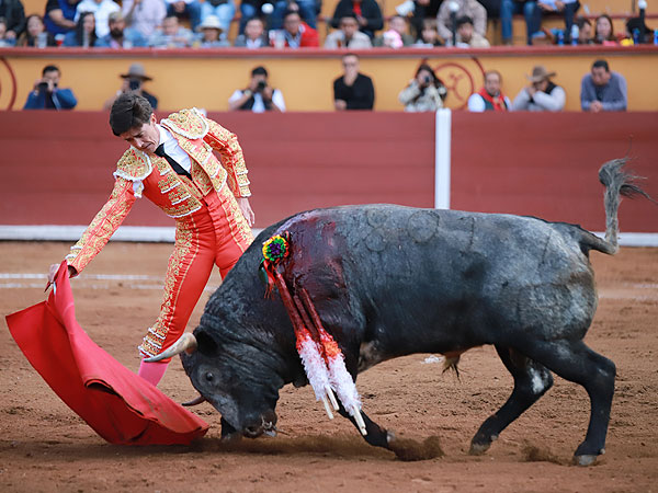 Templando la embestida
