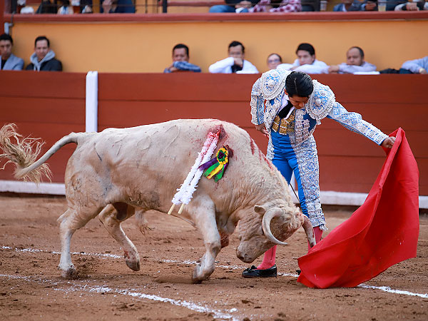 Dibujando el natural