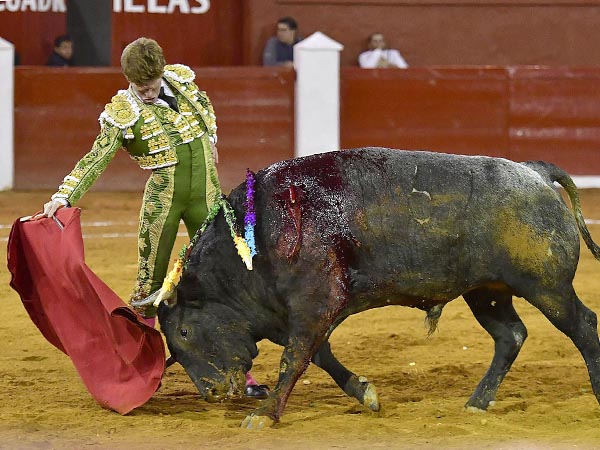 Reposadas tandas por el derecho