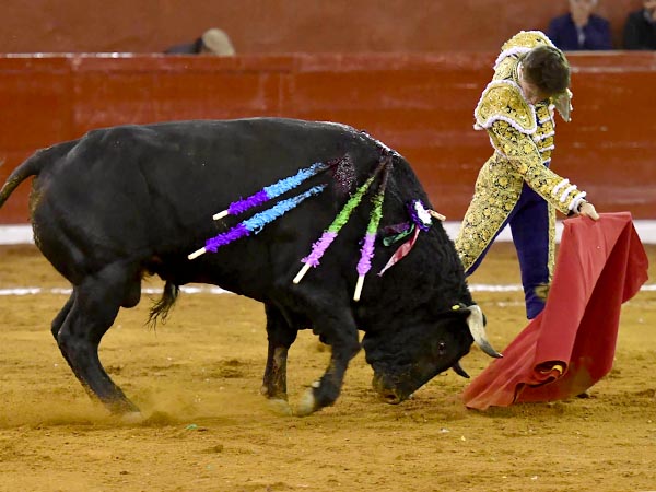 Largos pases de pecho