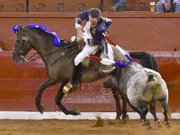 Lucida monta de Jorge