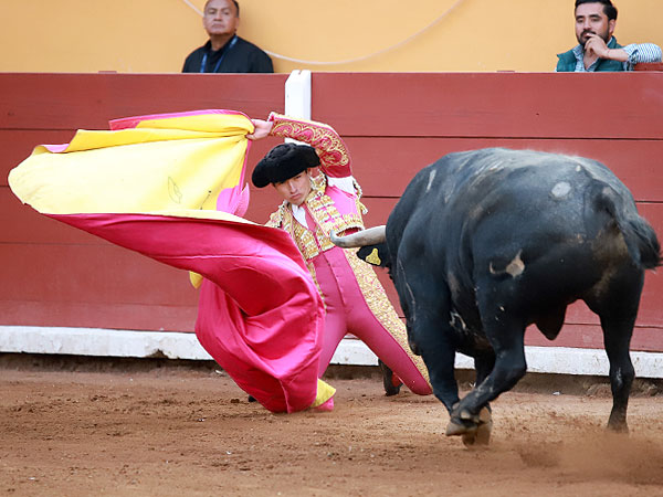 Isaac Fonseca con raza