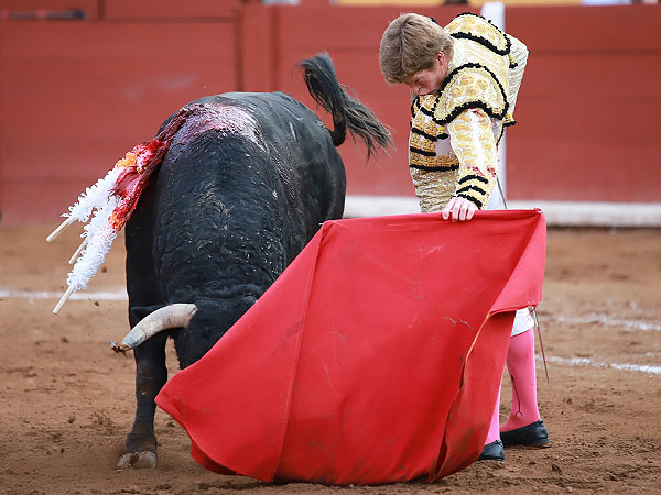 Muleta planchada y temple