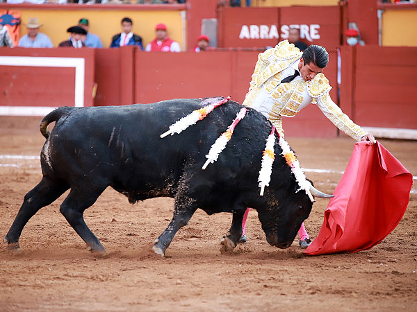 Acariciando la embestida