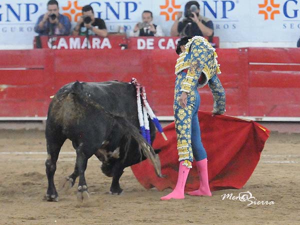 Reposo torero