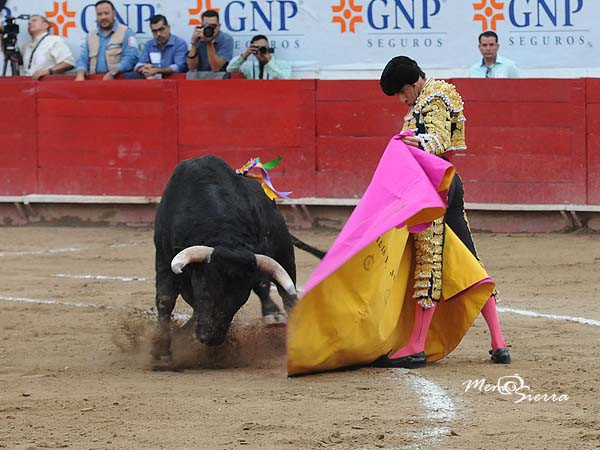 Jaleado en las vernicas