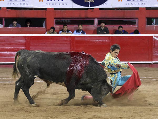 Remate rodilla en tierra