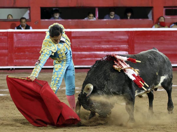 Metiendo la cara abajo