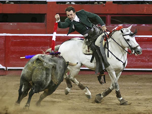 Adornando el morrillo